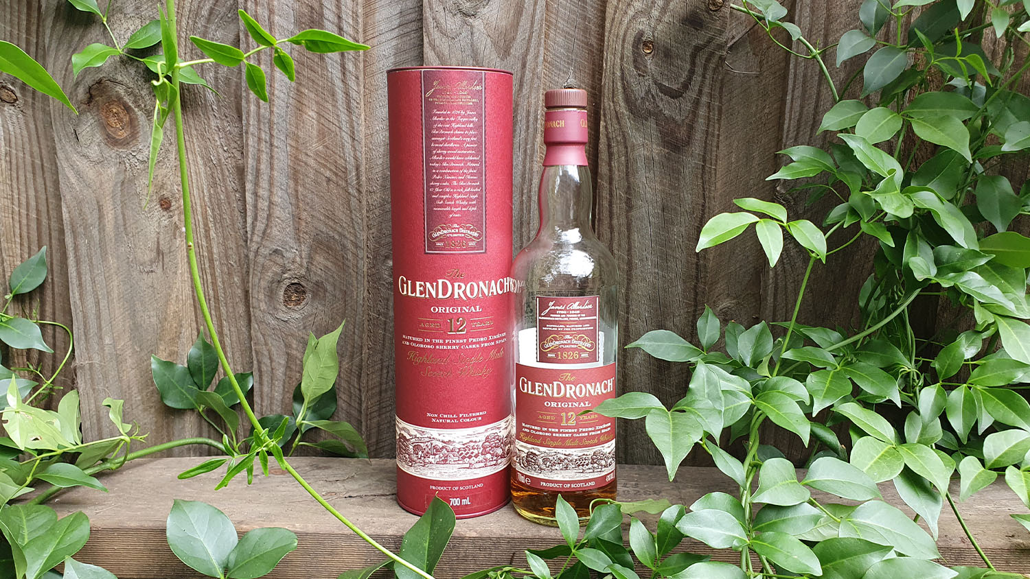 Glendronach 12 Year Old Whisky Review