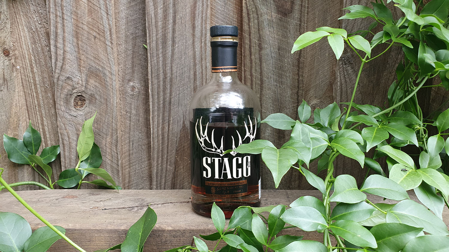 Stagg Jr Batch 9 Bourbon Whiskey Review